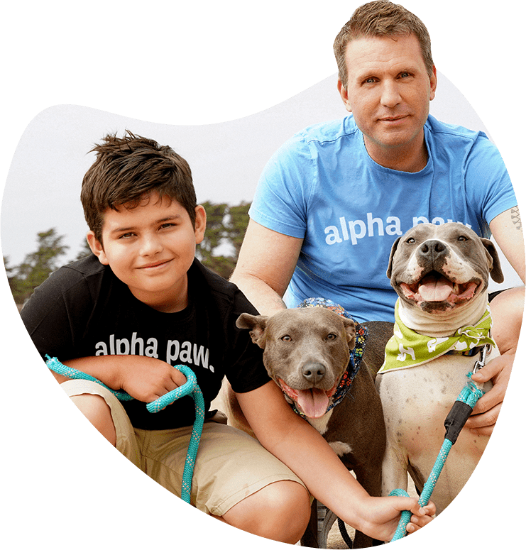 Alpha Paw 投资 800 万美元，在宠物健康领域开拓市场
