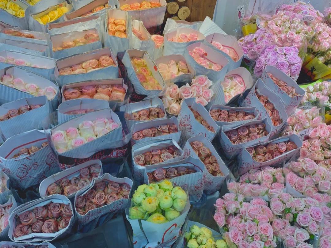 武汉这个花鸟市场，买花如同买菜，藏在闹市区少有人知