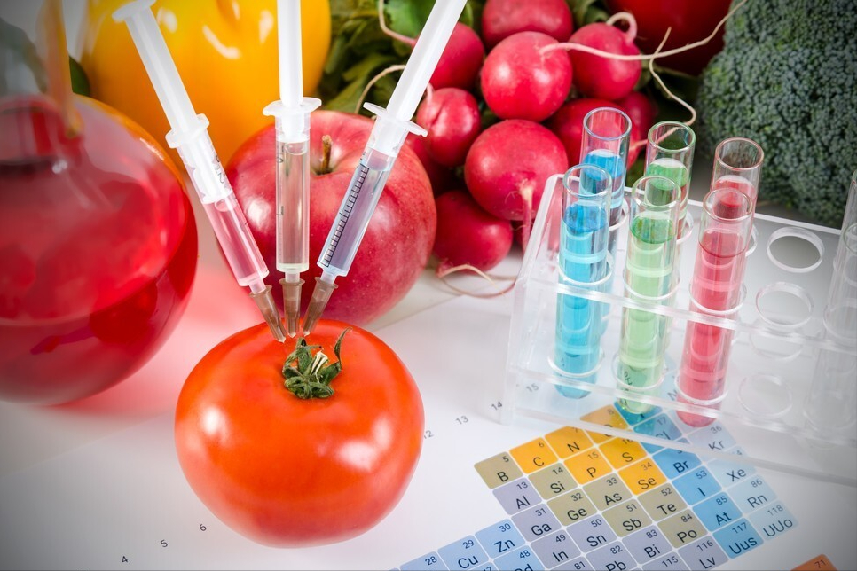 转基因食品真的不能吃吗，它的真正问题在哪里？