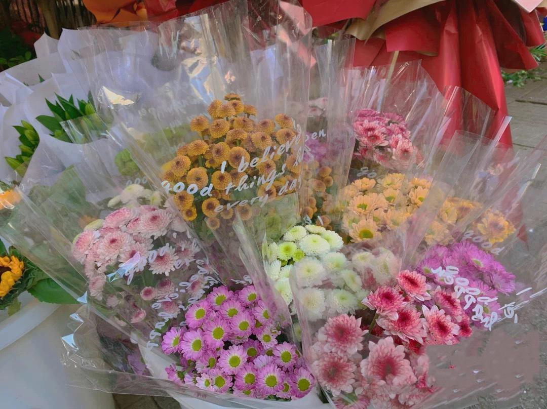 武汉这个花鸟市场，买花如同买菜，藏在闹市区少有人知