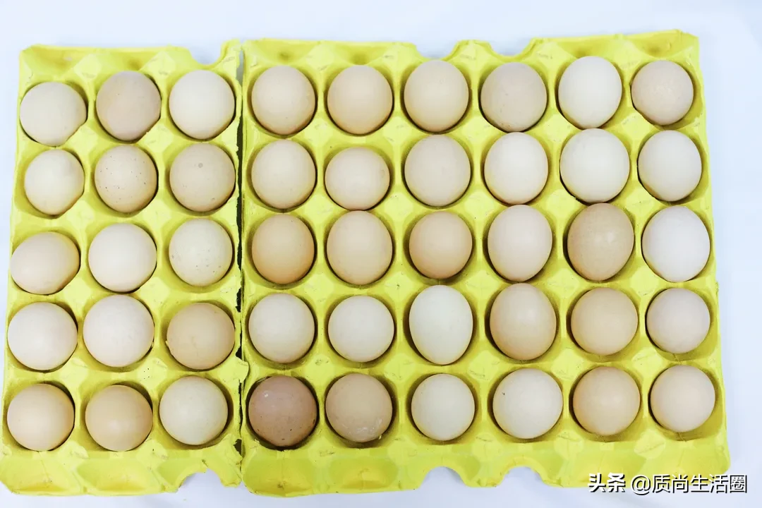 测评丨在家也能轻松煮出温泉蛋？深扒新型网红煮蛋神器