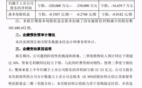 苏宁易购发布2020年半年报，净亏损约达31.9亿元