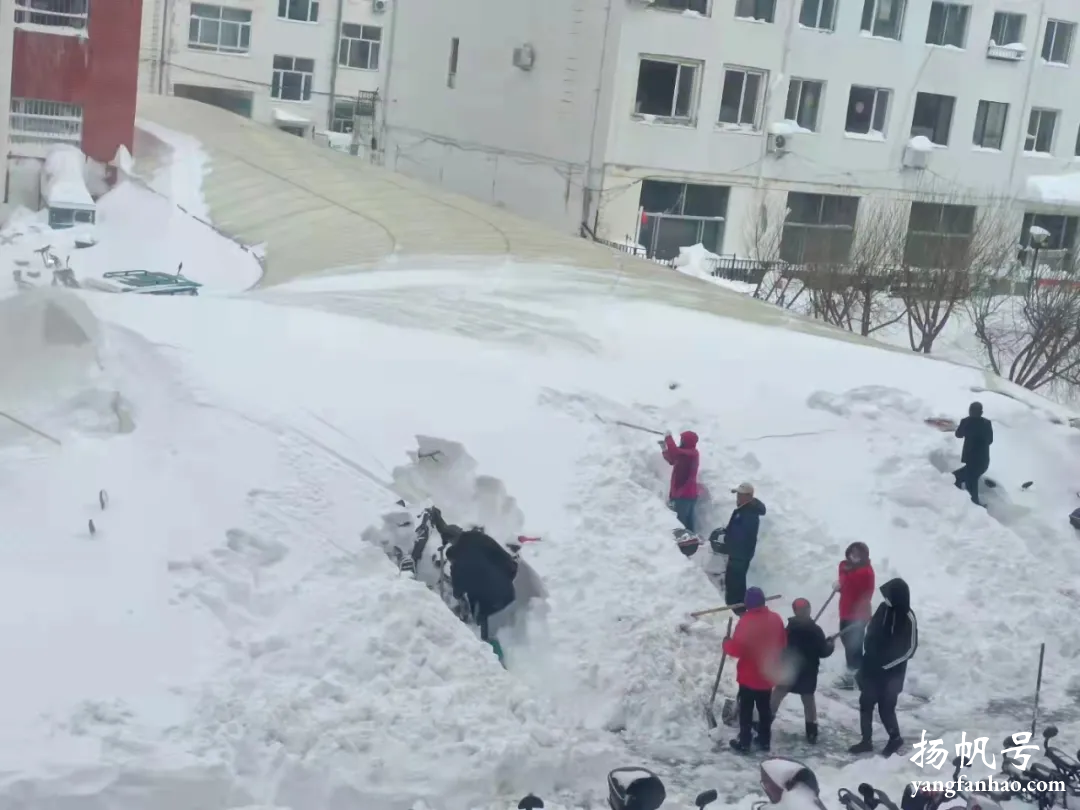 东北、内蒙古多地发生特大暴雪，专家：有可能引发雪灾