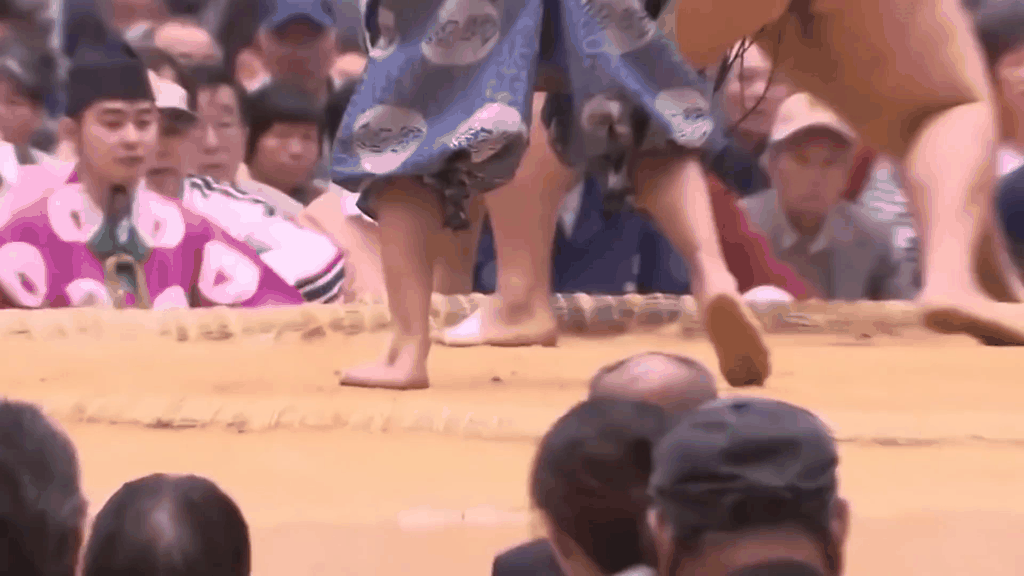 日本国技相扑：为何日本少女都想嫁给相扑手？