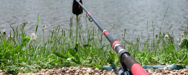 初学钓鱼如何选择鱼竿长度，如何选择鱼竿调性
