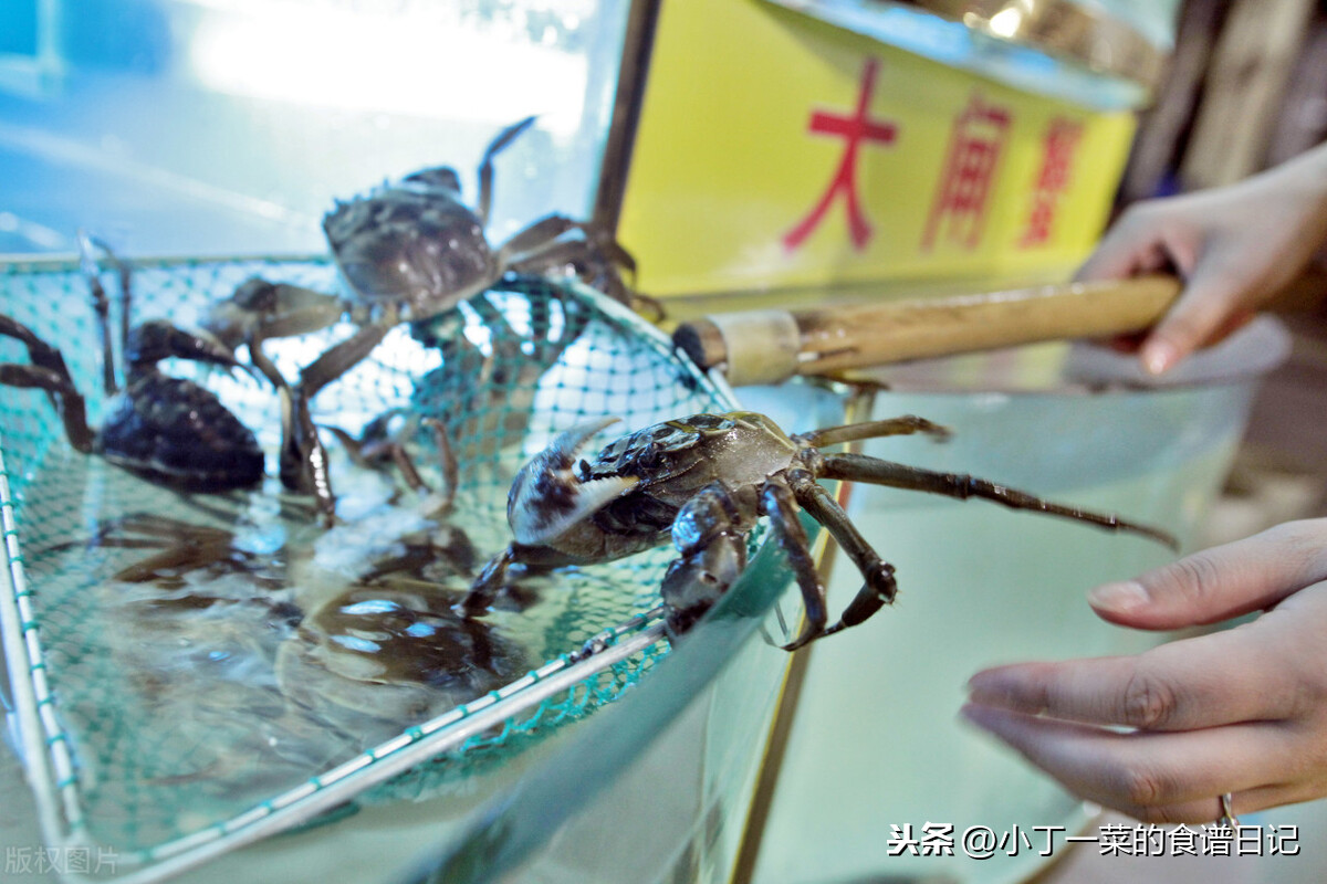 螃蟹买多吃不完怎么保存？用这四招，不管是海蟹还是河蟹都可用