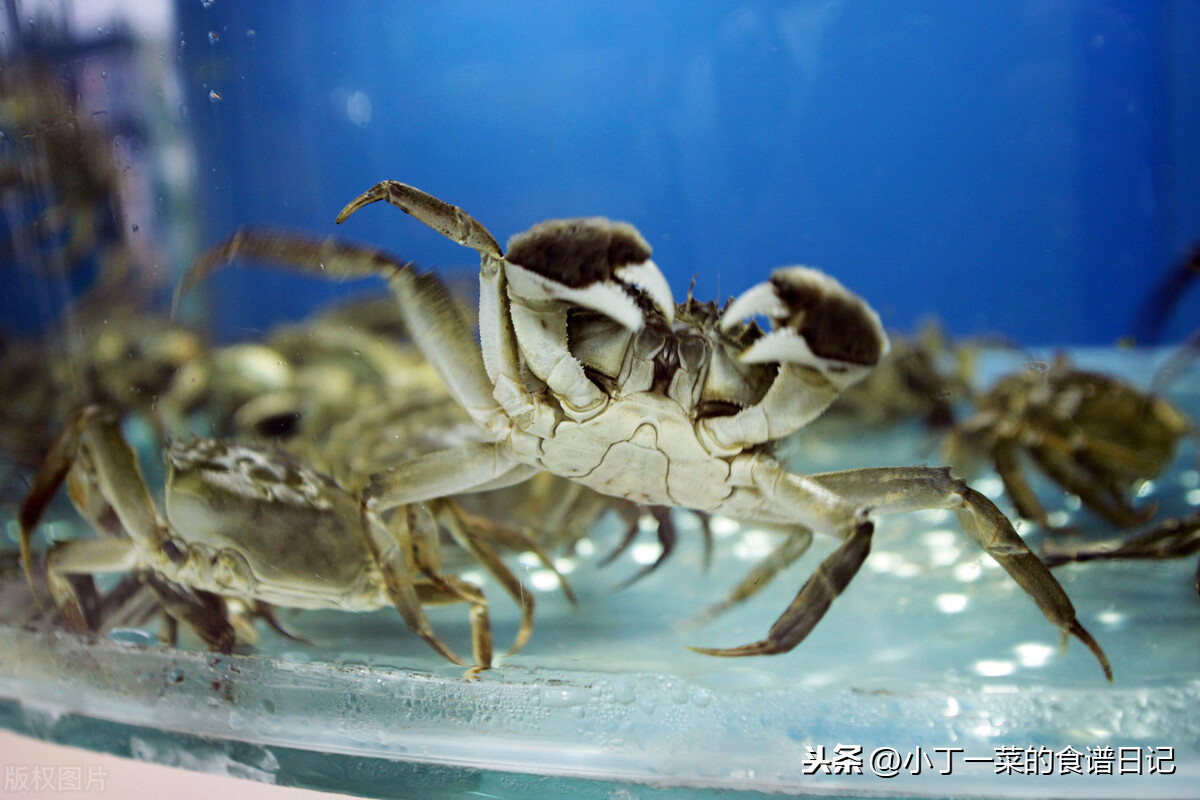 螃蟹买多吃不完怎么保存？用这四招，不管是海蟹还是河蟹都可用