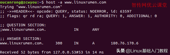 host命令之Linux dns查询
