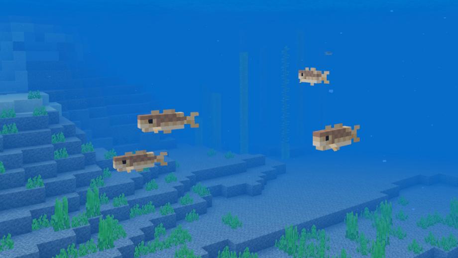 水底究竟有多少种鱼？《我的世界》全自动钓鱼机 让你见识全鱼宴