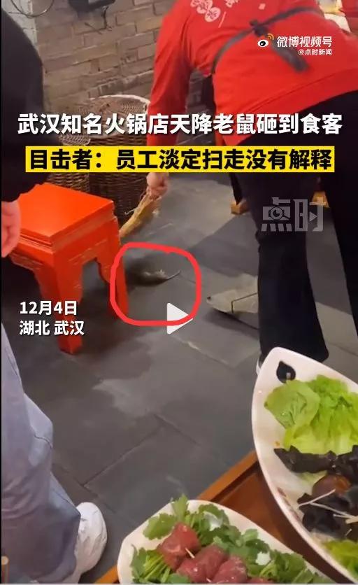 武汉知名火锅店天降老鼠砸到食客，遇到食品安全问题应该如何维权