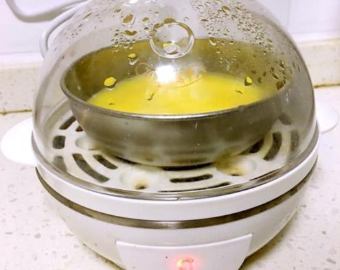 煮蛋器使用说明书对照表(小熊煮蛋器哪个型号好)