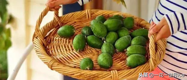 百元一斤“超级水果”，刚引进国内不久，会火起来吗？