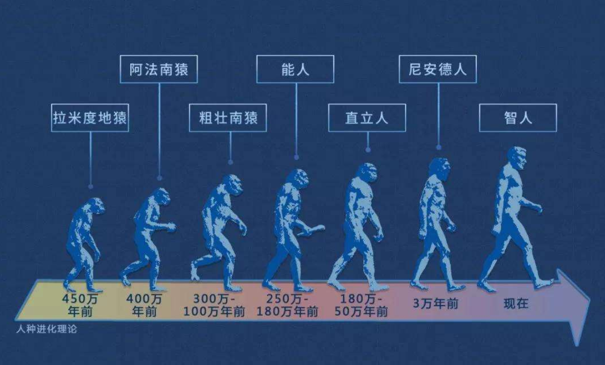 人类仍在进化！2020年研究：手臂长出新血管，会永久进化吗？