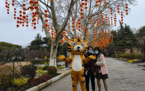 名字有“虎”可免费参观上海动物园（上海动物园虎年生肖文化节开启）