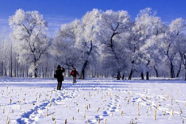 国内看雪景点排名（中国看雪的十大城市）