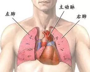 跑步气喘吁吁不是因为肺活量不够，而是要提高最大摄氧量
