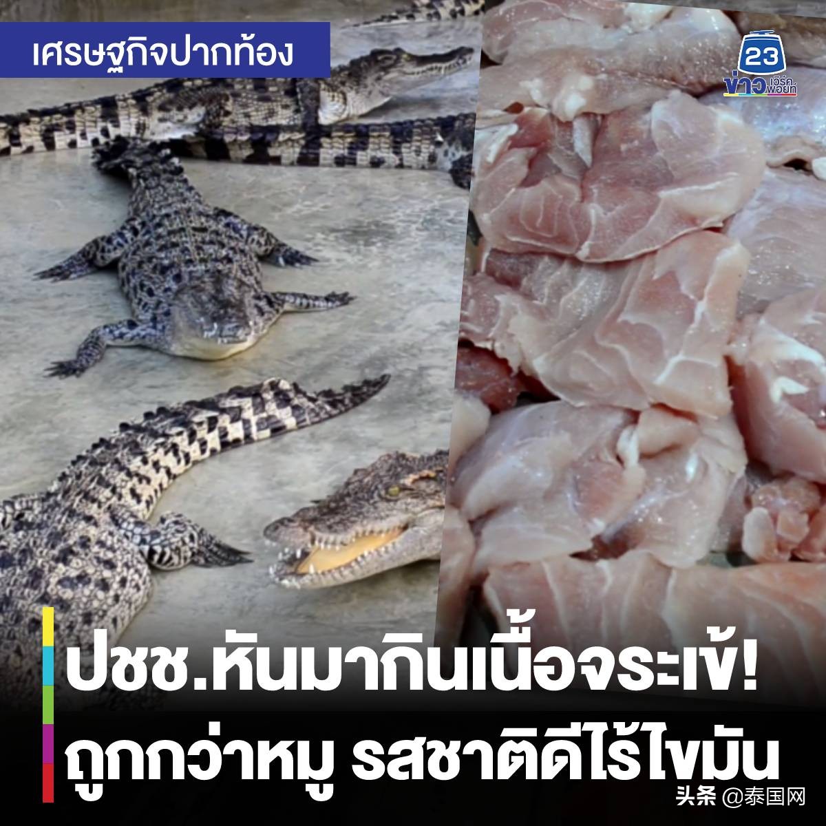 泰国猪肉涨价 民众开始转移消费目光至鳄鱼肉上