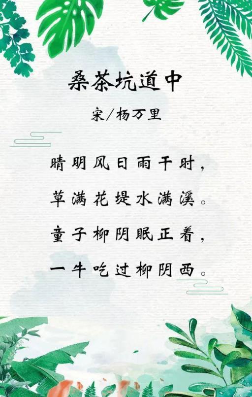 杨万里字什么,诗人杨万里有哪些代表作品？
