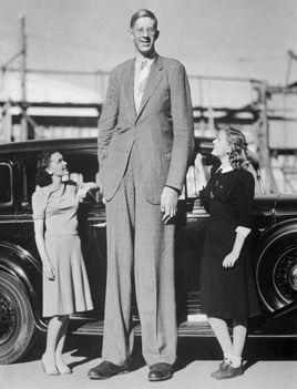 世界最高人的身高是多少（世界第一高人是谁）