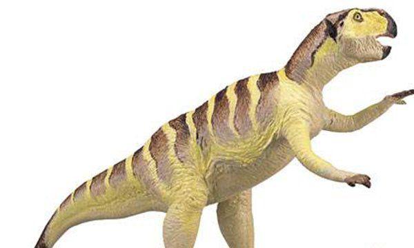 恐龙还未灭绝？新西兰村民活捉一只恐龙(原来是道具)