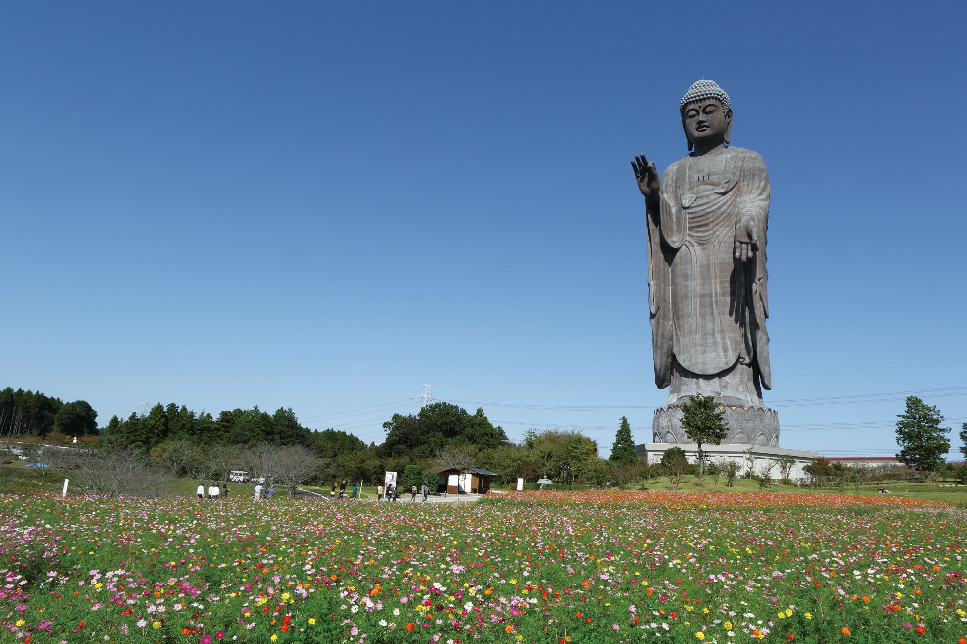 全球最高的9大雕像，中国排名第一占了最多，厉害我的国