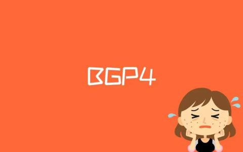 BGP4是什么