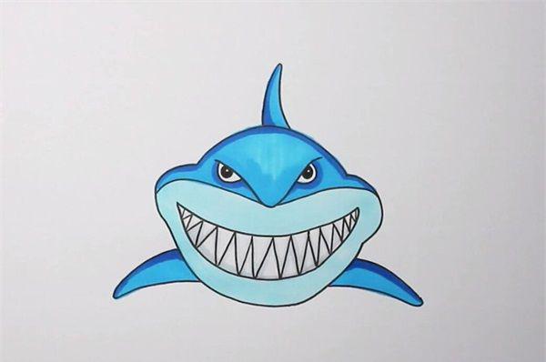 巨齿鲨简笔画