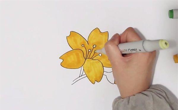 幼儿绘画迎春花图片
