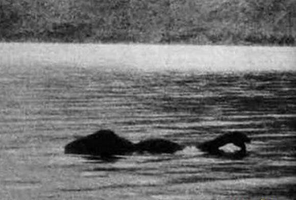 新疆喀纳斯湖水怪真相曝光，体长15米的大红鱼巨型哲罗鲑
