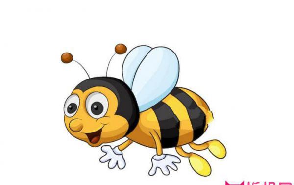 小蜜蜂简笔画教程，勤劳的小蜜蜂