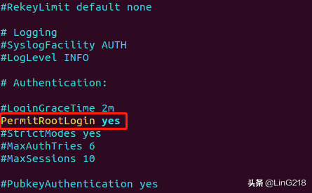 Ubuntu18.04安装SSH并允许使用root远程登录