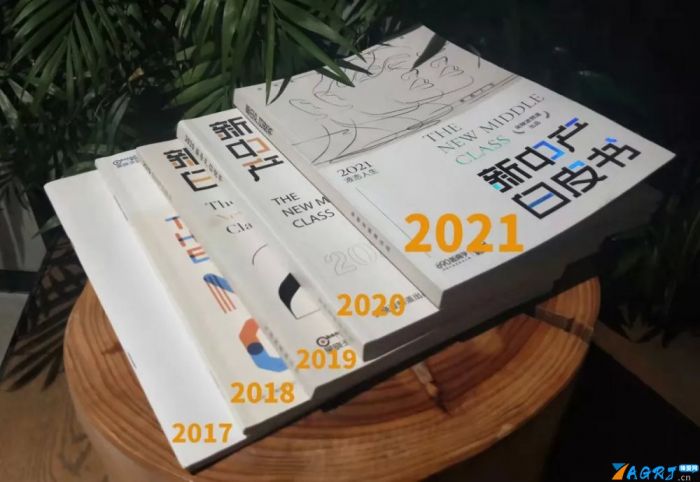 中国中产阶级标准2021《2021新中产白皮书》-第1张图片