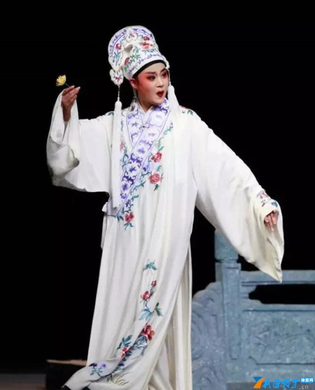 中国传统戏剧经典系列（27种中国戏曲，经典感人）-第24张图片