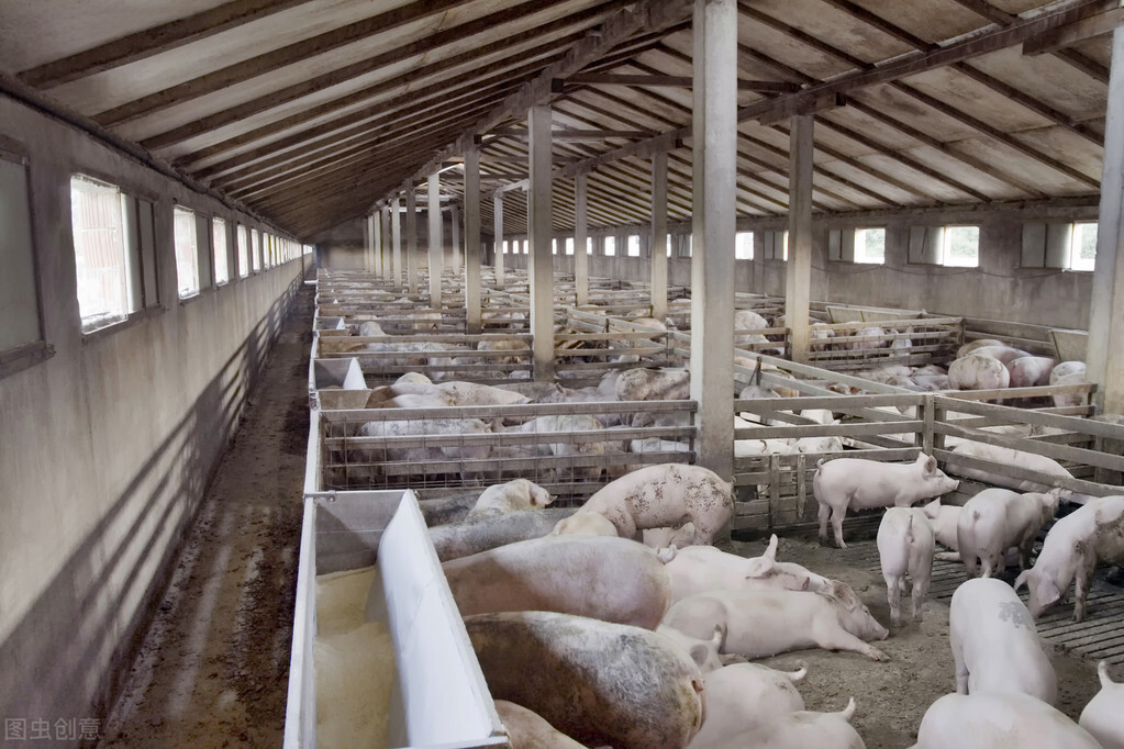 猪牛羊都在狂涨，盘点2021年十大潜力养殖业（下篇）