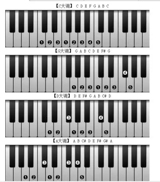 61键电子琴键位图对照图片