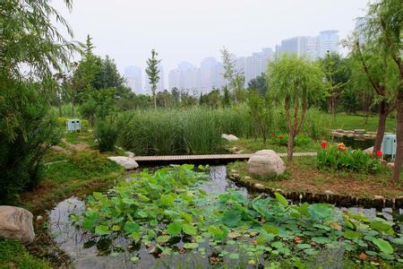 郑州10大免费旅游景点大全排名，附一日游攻略