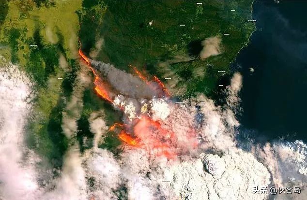 侠客岛：澳大利亚山火肆虐4个月，到底祸起何处？