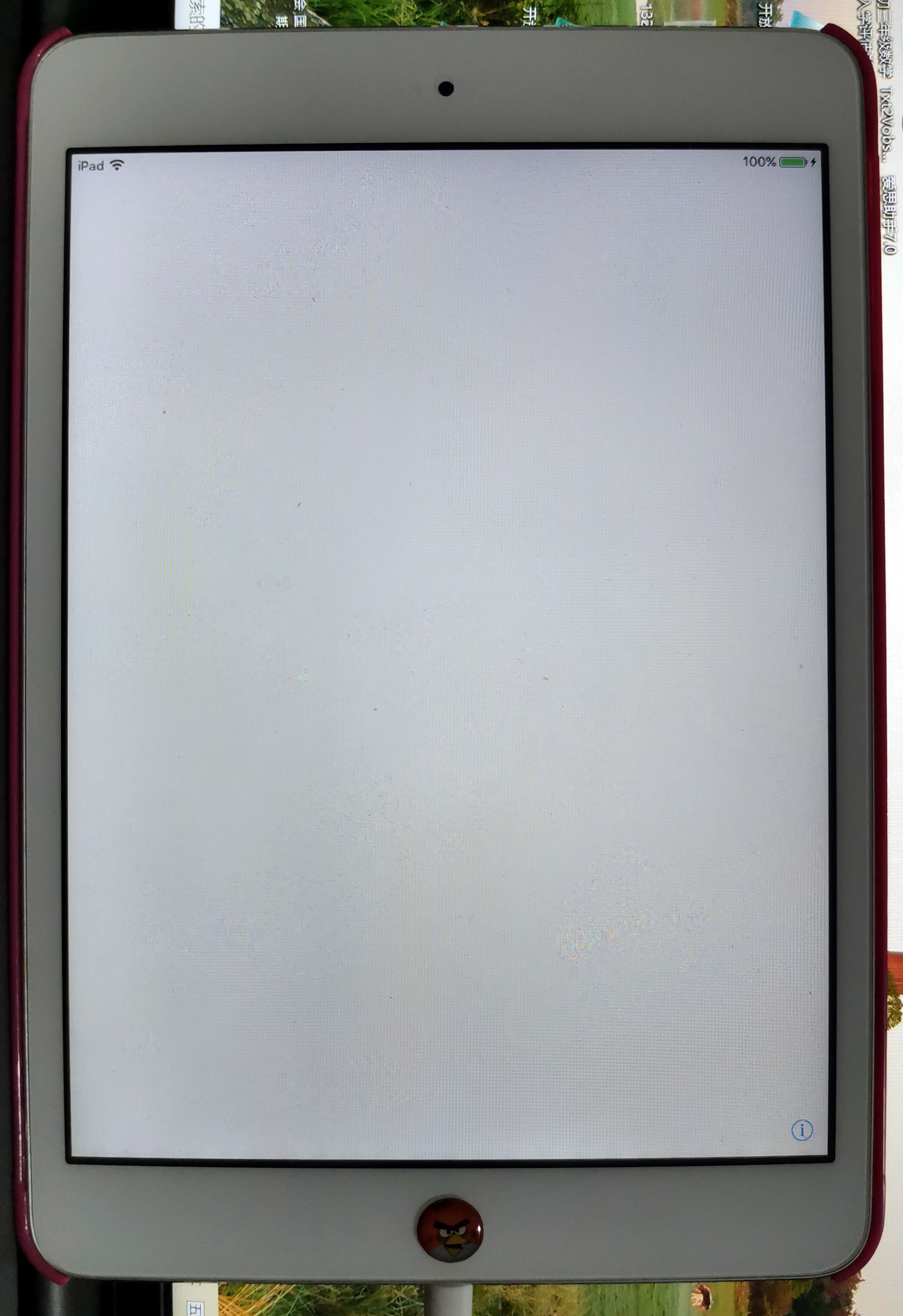 iPad Mini找回密码失败无法激活，就只能变为一块板砖？