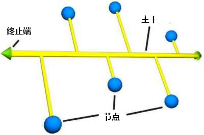 目前常见的四种网络拓扑：总线，环形，星形，星形总线拓扑