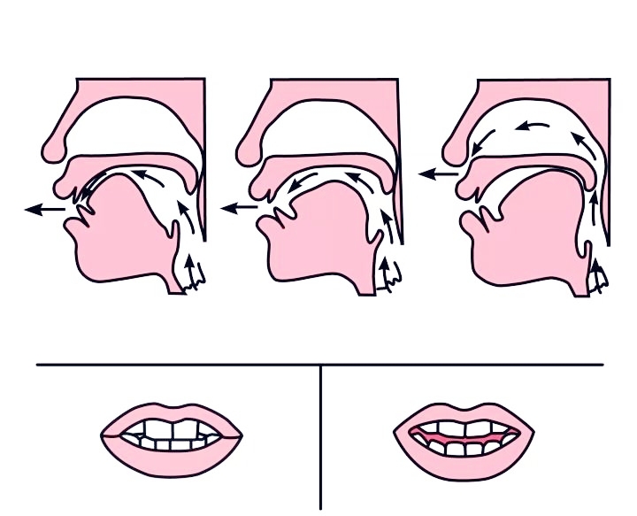 前鼻韵母有哪些（前鼻韵母和后鼻韵母表）