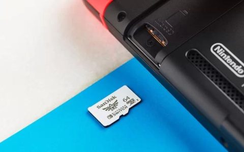 如何为Nintendo Switch选择microSD卡