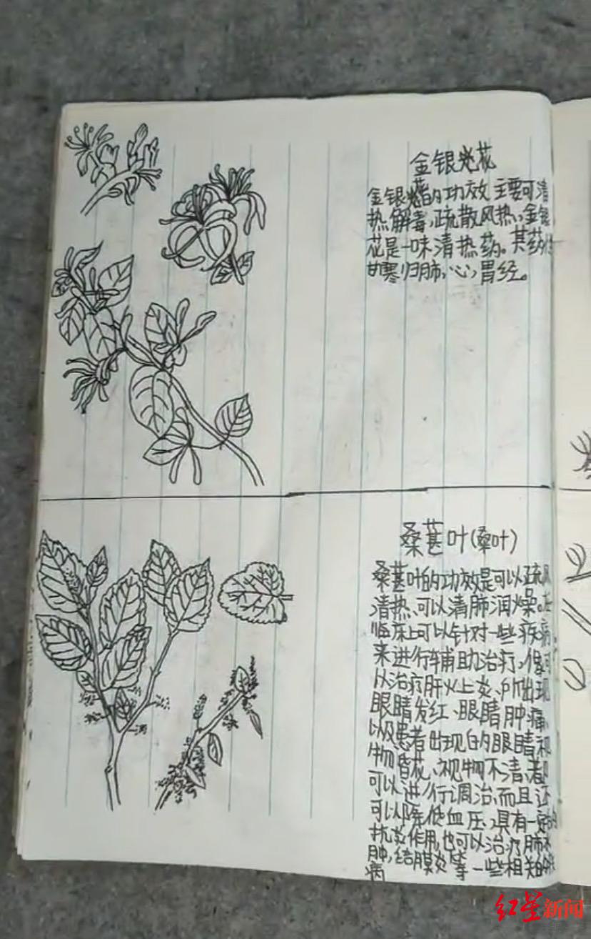 “我的天才儿子？”13岁儿子期末没考好，父亲从书包里翻出一本手绘中草药图
