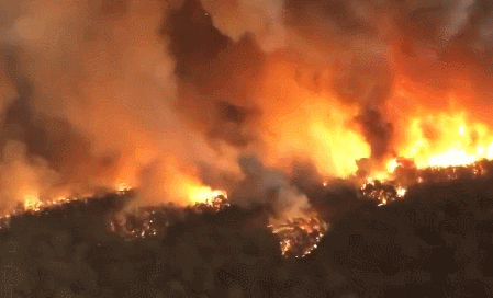 侠客岛：澳大利亚山火肆虐4个月，到底祸起何处？