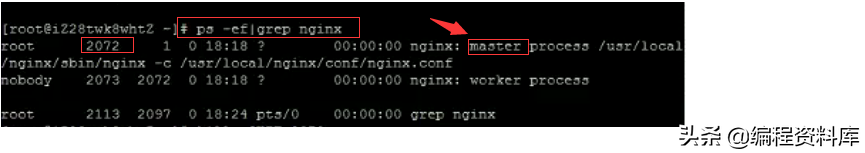「Nginx」Linux常用命令------启动、停止、重启