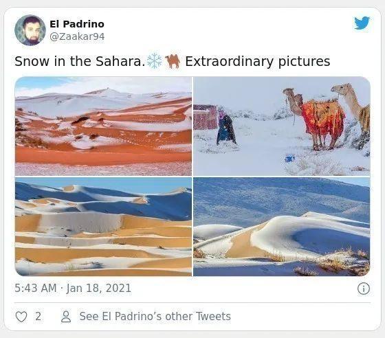 2021不平常！撒哈拉沙漠里竟然下了大雪