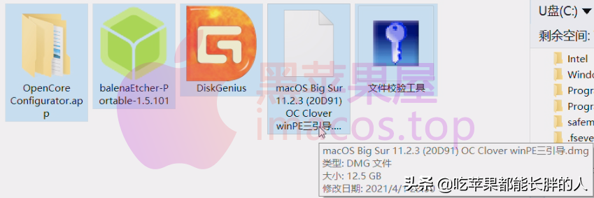 零基础2021最新macOS BigSur黑苹果安装完整教程opencore引导