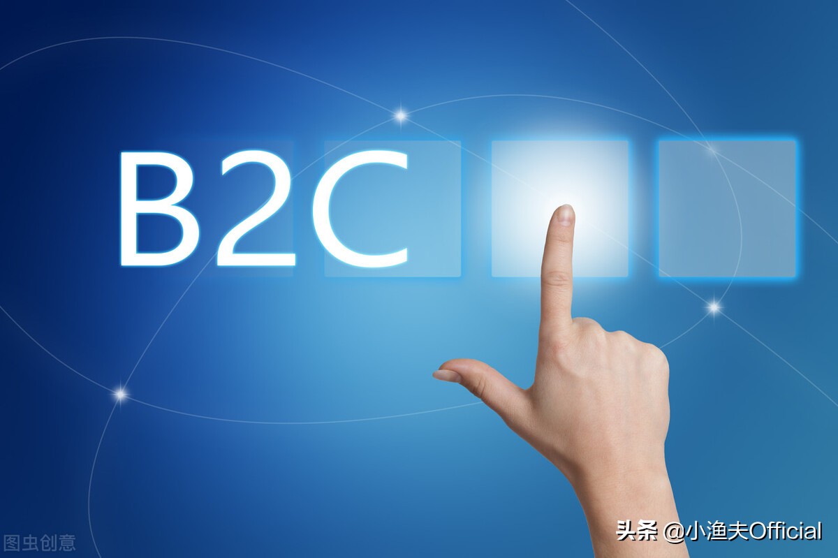 关于B2C业务五种商业模式、9个营销步骤