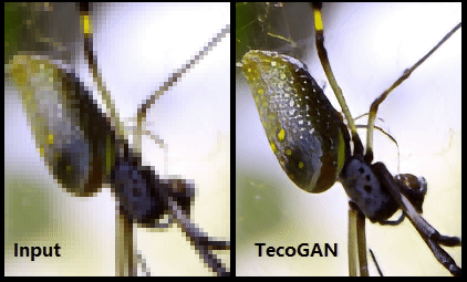 低清视频也能快速转高清：超分辨率算法TecoGAN