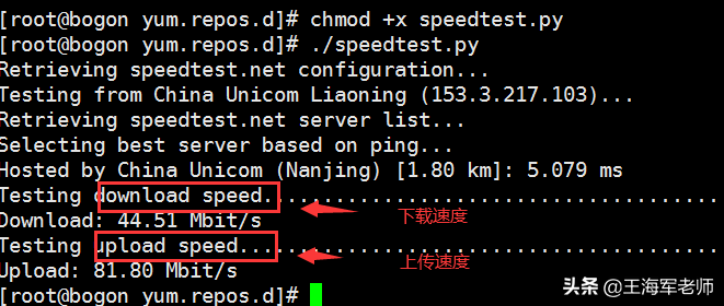 linux下在线网络测速工具speedtest快速入门