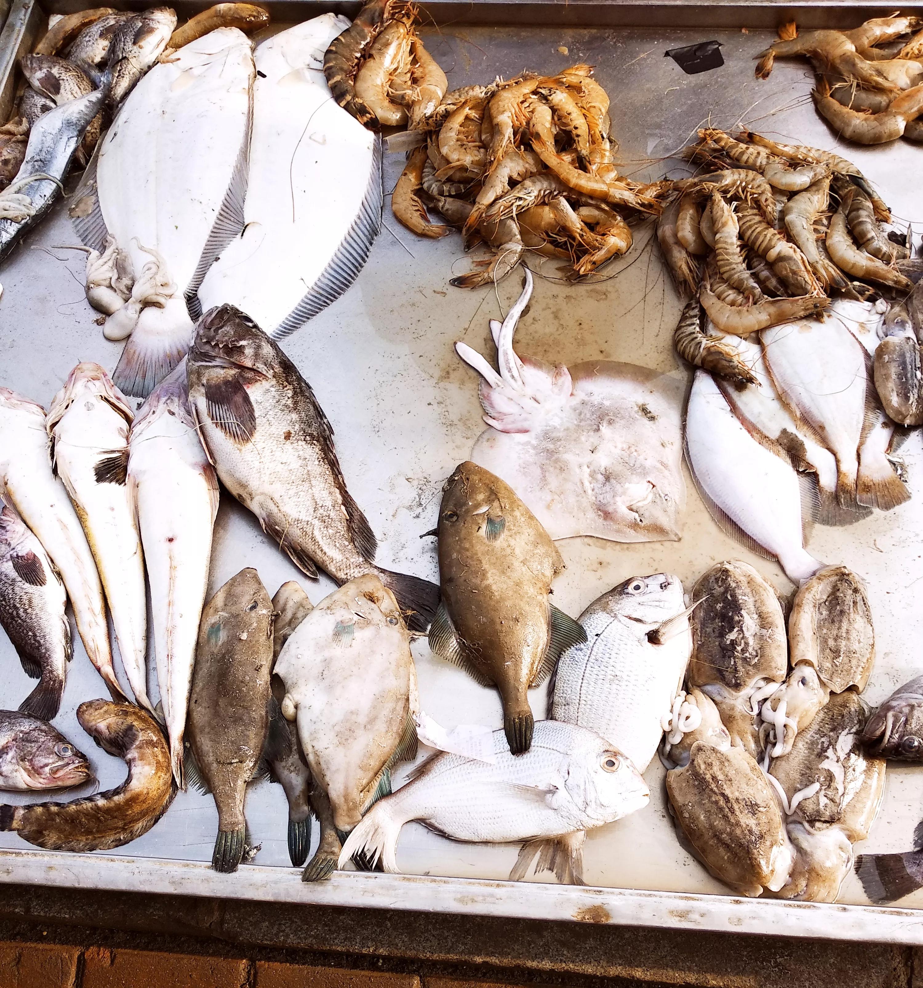 春天，10种便宜又好吃的海鱼，海鲜市场遇到别错过，内行都懂